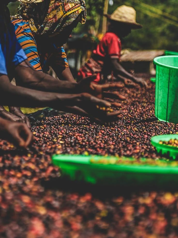 Gitwa Co-Operative