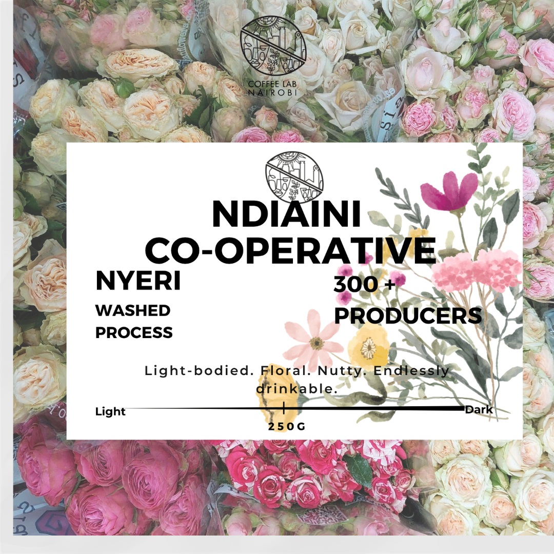 Ndiaini Co-Operative