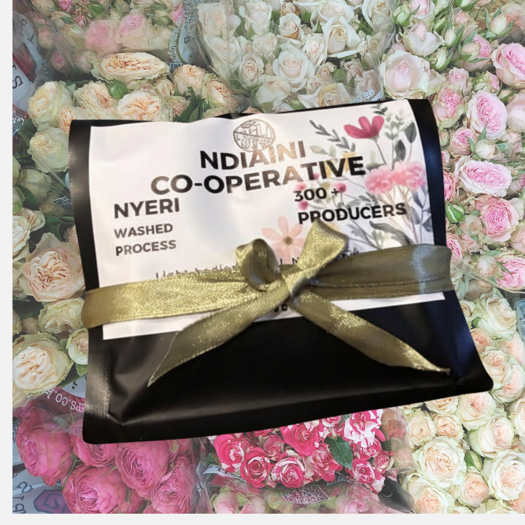Ndiaini Co-Operative