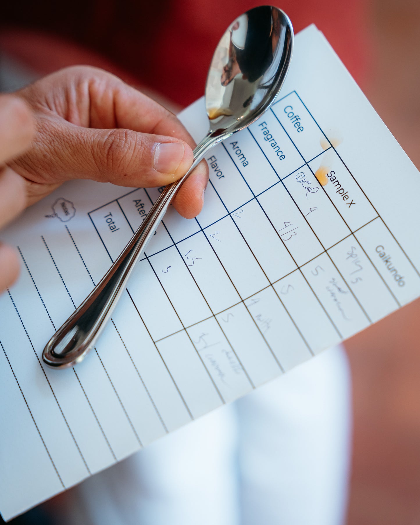 A Holiday Cupping Experience