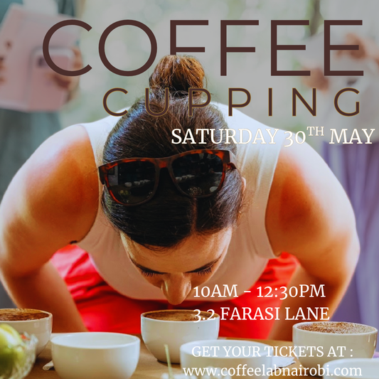 Coffee Tasting - Triangulation And New Coffees!