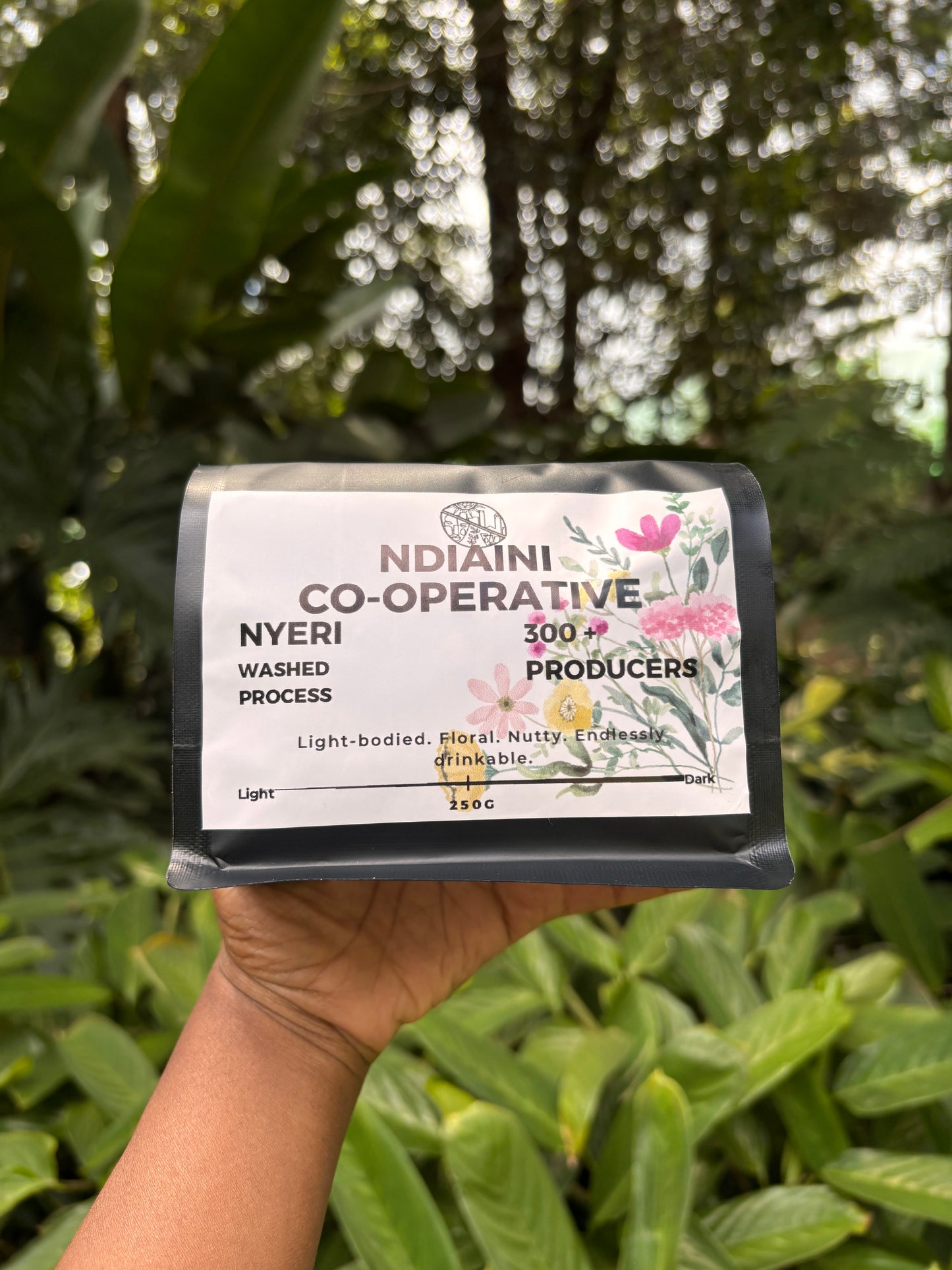 Ndiaini Co-Operative