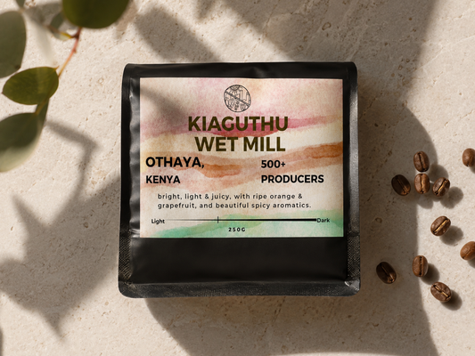 Kiaguthu Wet Mill.